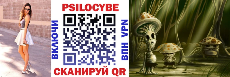 Галлюциногенные грибы Psilocybe  Купить где  Корсаков 